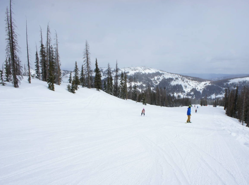 best beginner ski resorts USA best beginner ski resorts USA