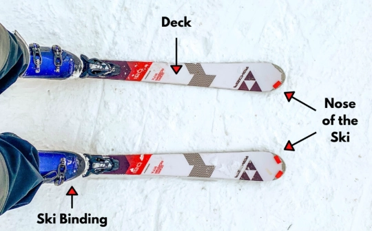 how to choose beginner skis