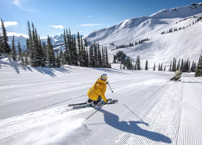 alpine skiing alpine skiing