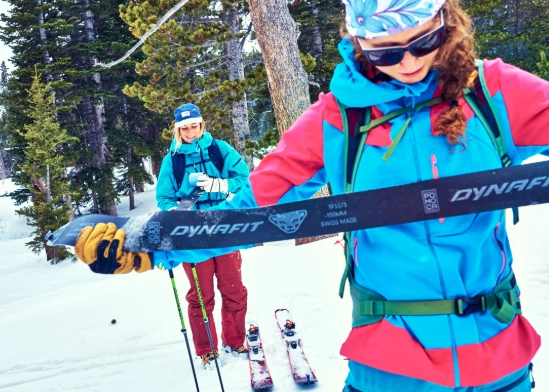 ski brands comparison