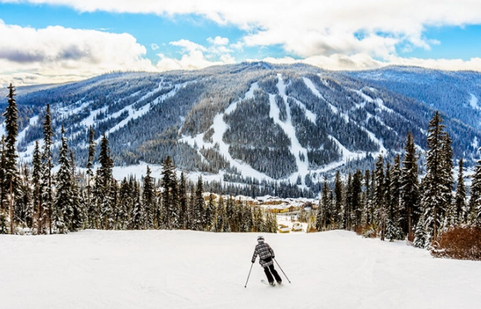 buying guide for skis