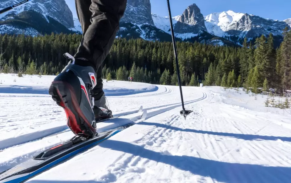 ski equipment for beginners ski equipment for beginners