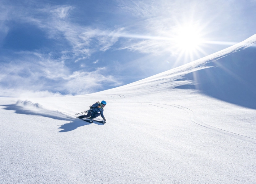 expert skier expert skier