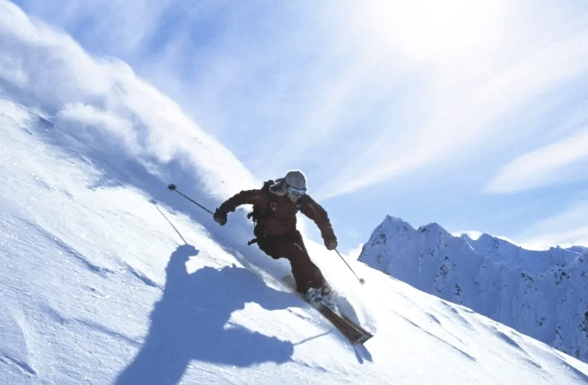 expert skiing techniques