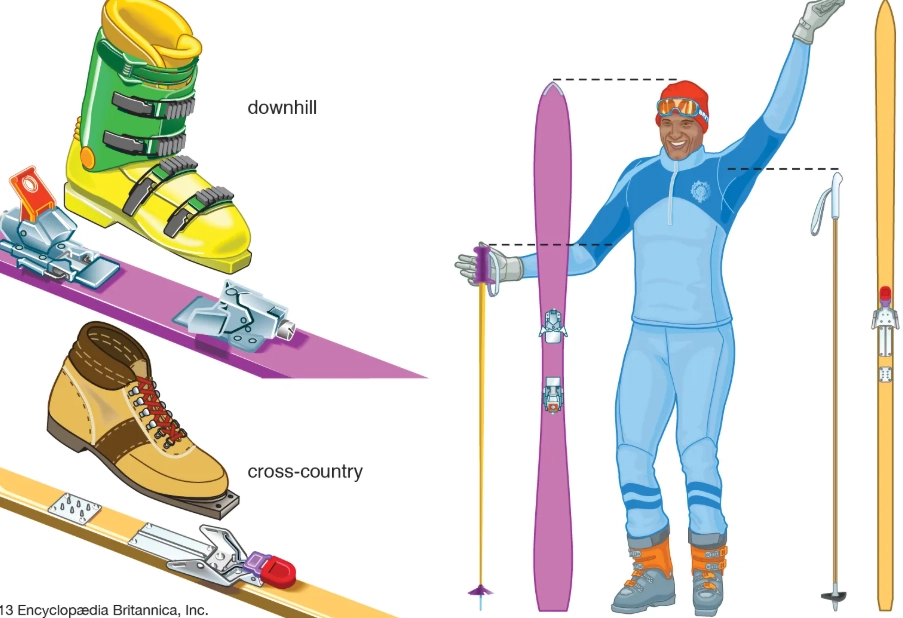 Alpine skiing Alpine skiing