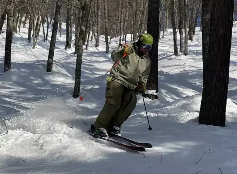 shaggy skis lifespan shaggy skis lifespan