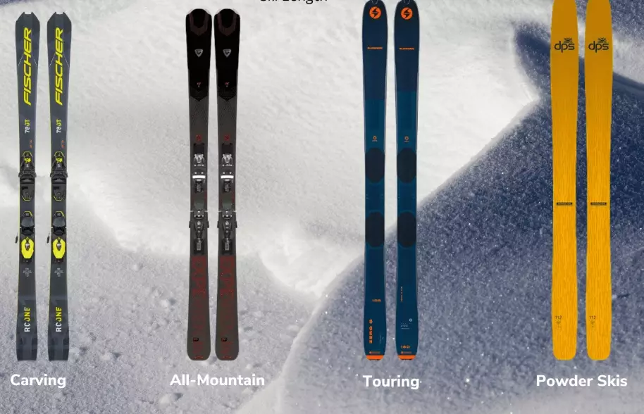 cheap vs expensive skis cheap vs expensive skis