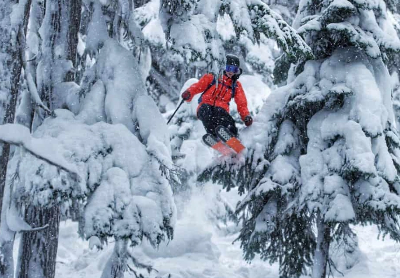 ski selector quiz ski selector quiz