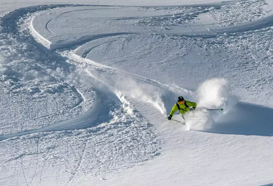 types of downhill skis