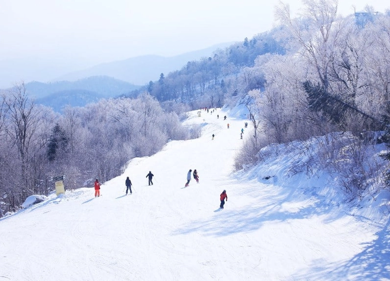 Niseko ski resort
