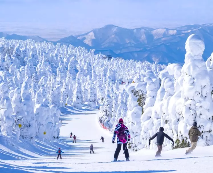 best ski and onsen japan