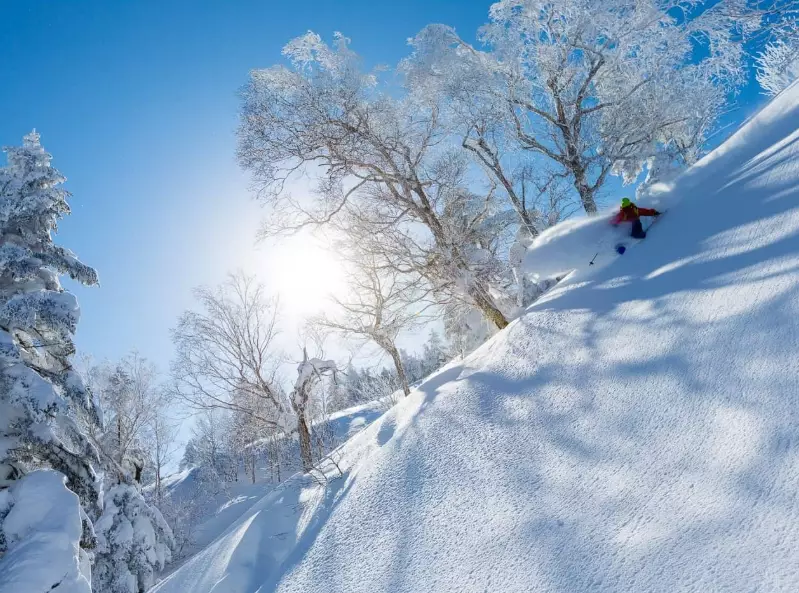 ski Japan Shiga Kogen