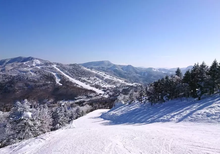 ski Japan Shiga Kogen