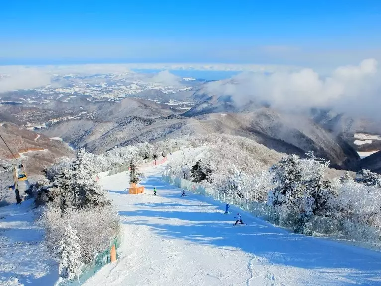 best ski resorts Korea best ski resorts Korea