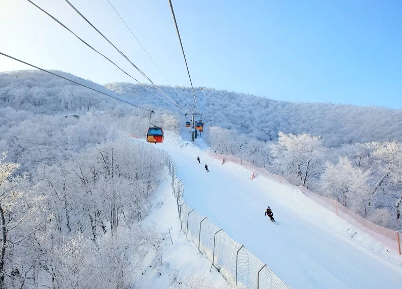 Yongpyong ski conditions Yongpyong ski conditions