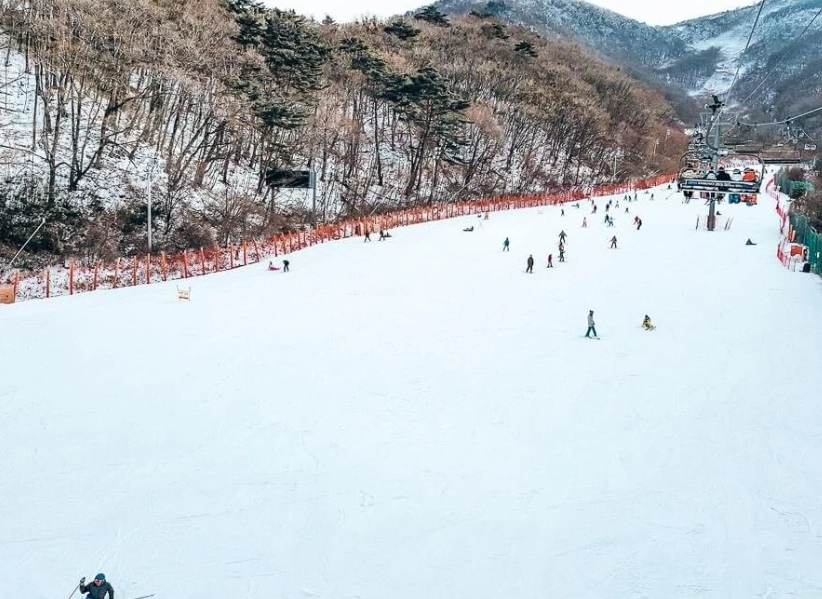 skiing in Korea