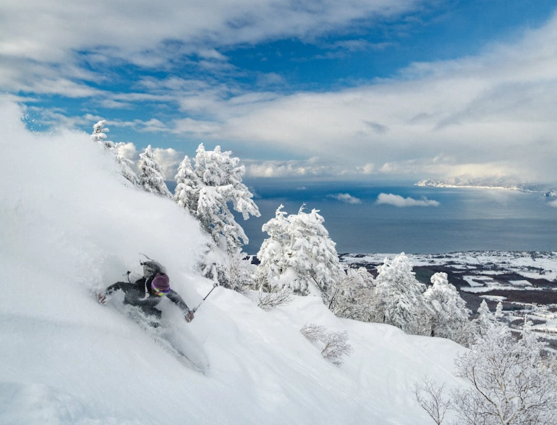 beginner skiing japan beginner skiing japan