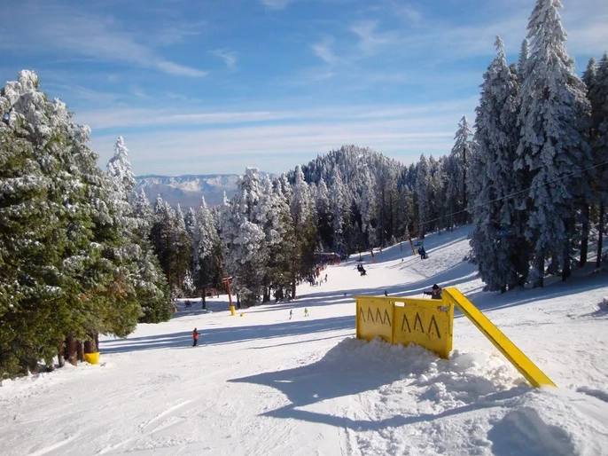 family skiing california