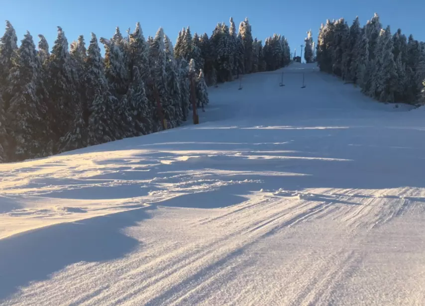 beginner ski resorts near fresno