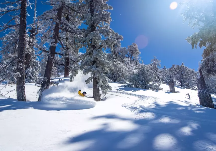 Bear Mountain Bear Mountain