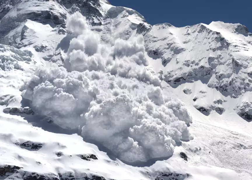 avalanche survival avalanche survival