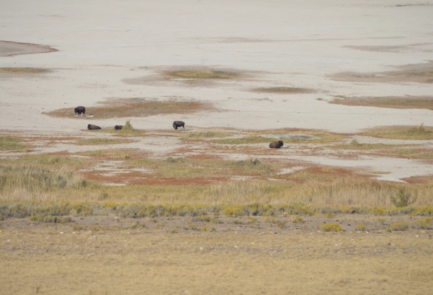 high altitude skiing high altitude skiing