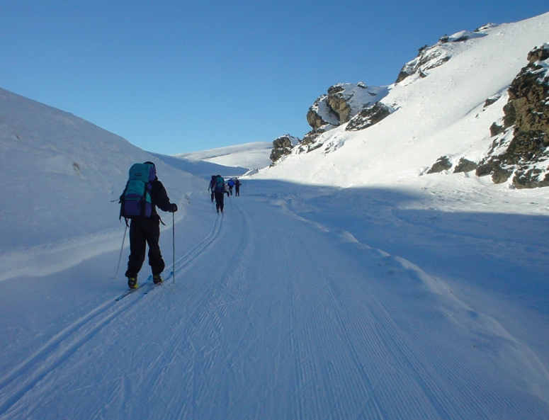 parallel turn skiing parallel turn skiing