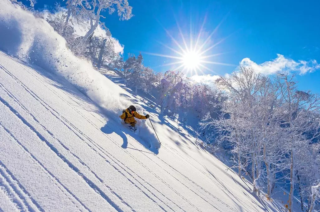 Japan powder snow Japan powder snow