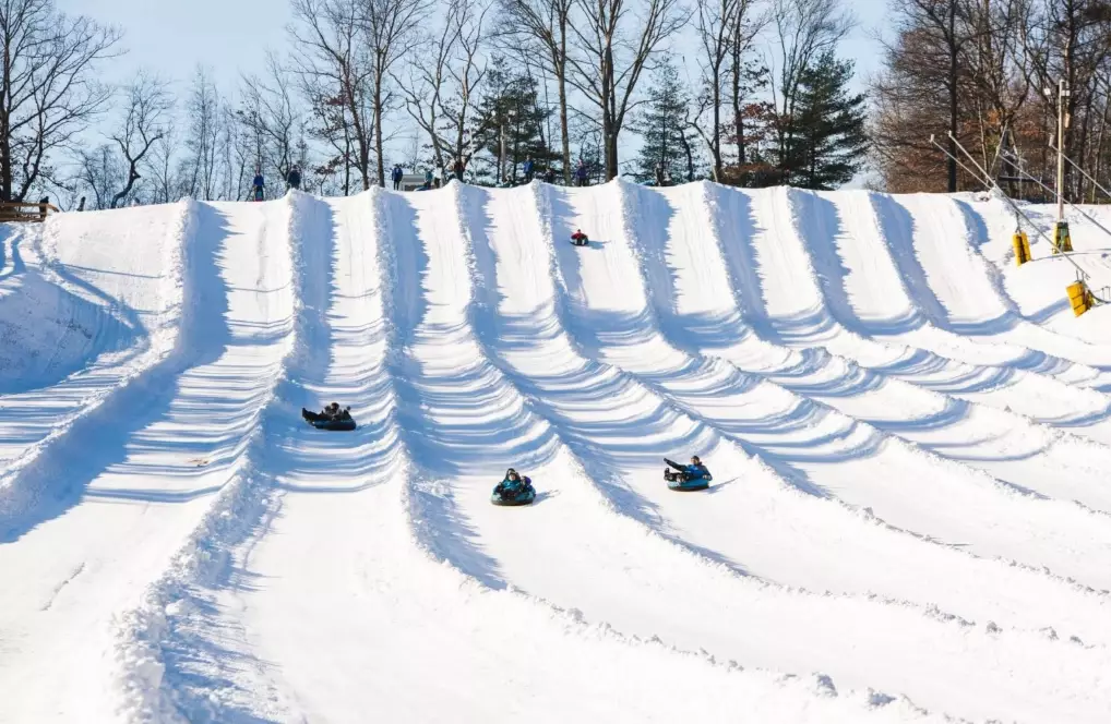 Nashoba Valley night skiing